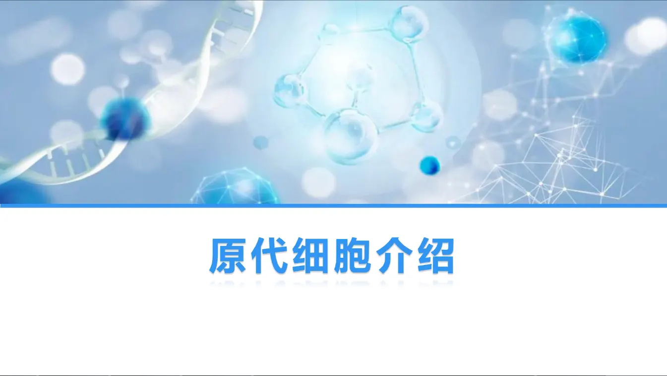 原代細(xì)胞特性，優(yōu)勢(shì)和查詢介紹