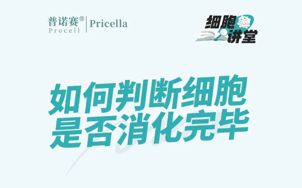 【細(xì)胞觀察技巧】精準(zhǔn)把控，細(xì)胞消化一目了然！