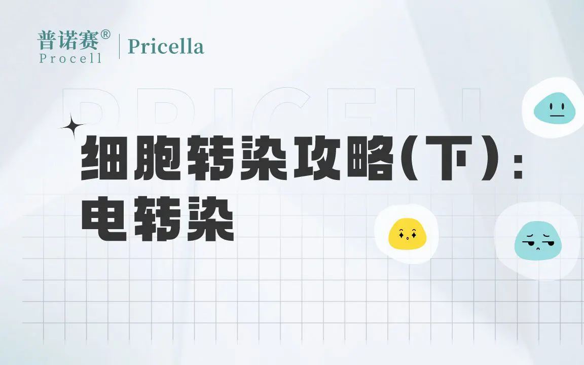 細(xì)胞轉(zhuǎn)染攻略(下)-電轉(zhuǎn)染