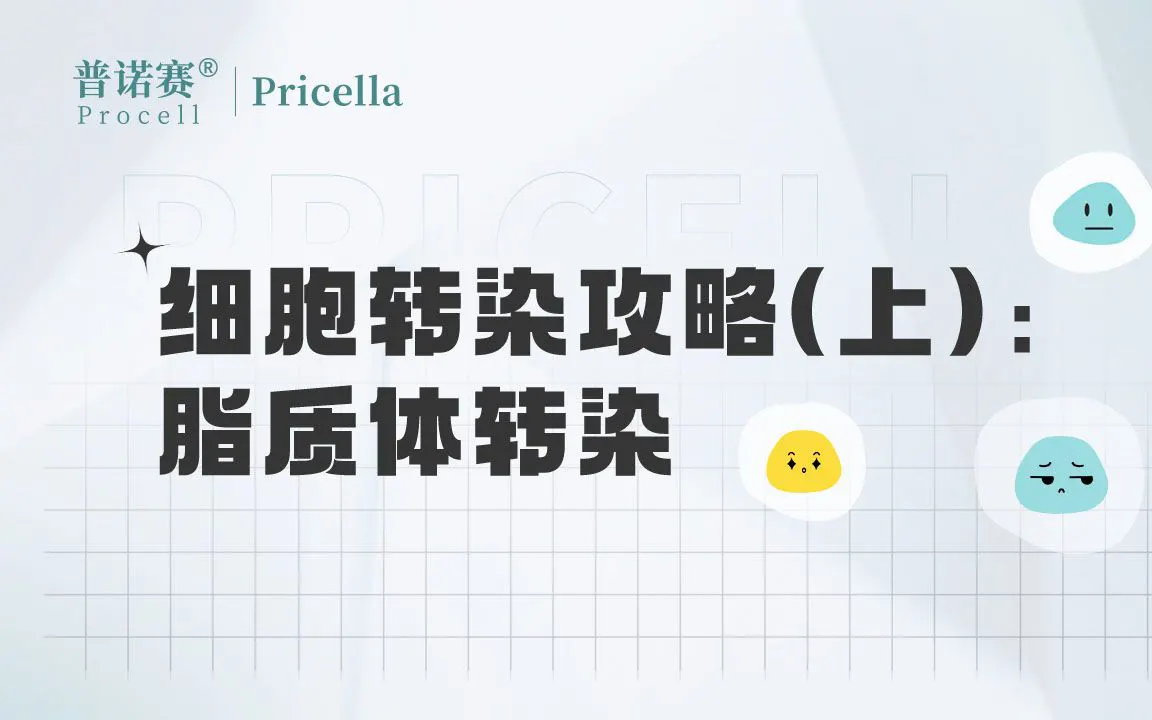 細(xì)胞轉(zhuǎn)染攻略（上）：脂質(zhì)體轉(zhuǎn)染