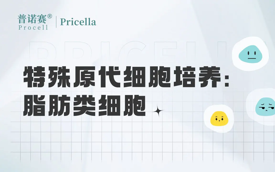 特殊原代細(xì)胞培養(yǎng)-脂肪類(lèi)細(xì)胞