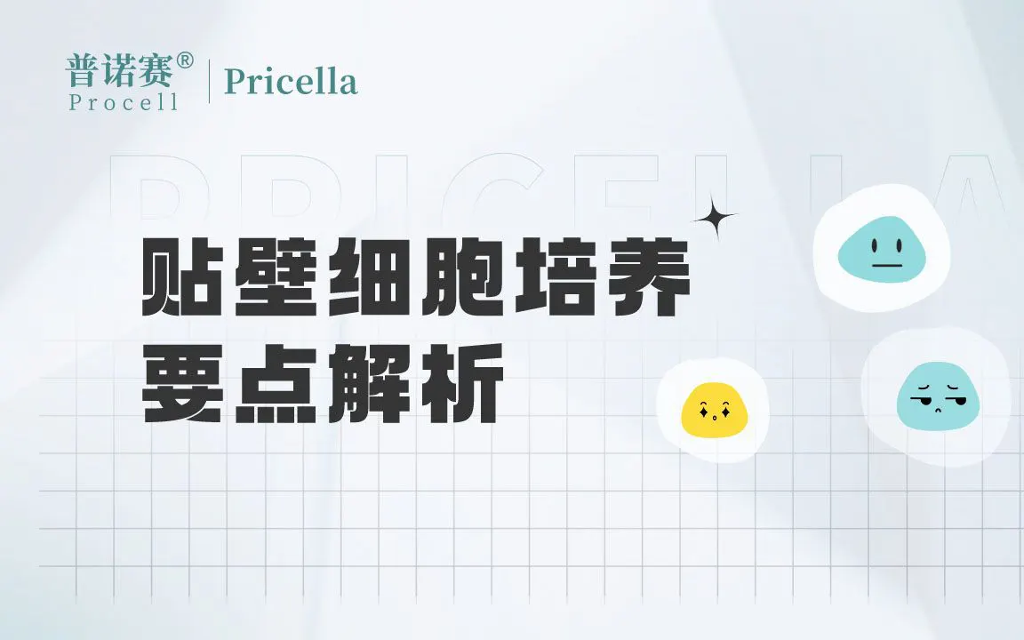 貼壁細(xì)胞培養(yǎng)要點(diǎn)和案例介紹