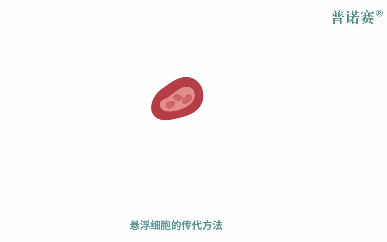 懸浮細胞傳代方法