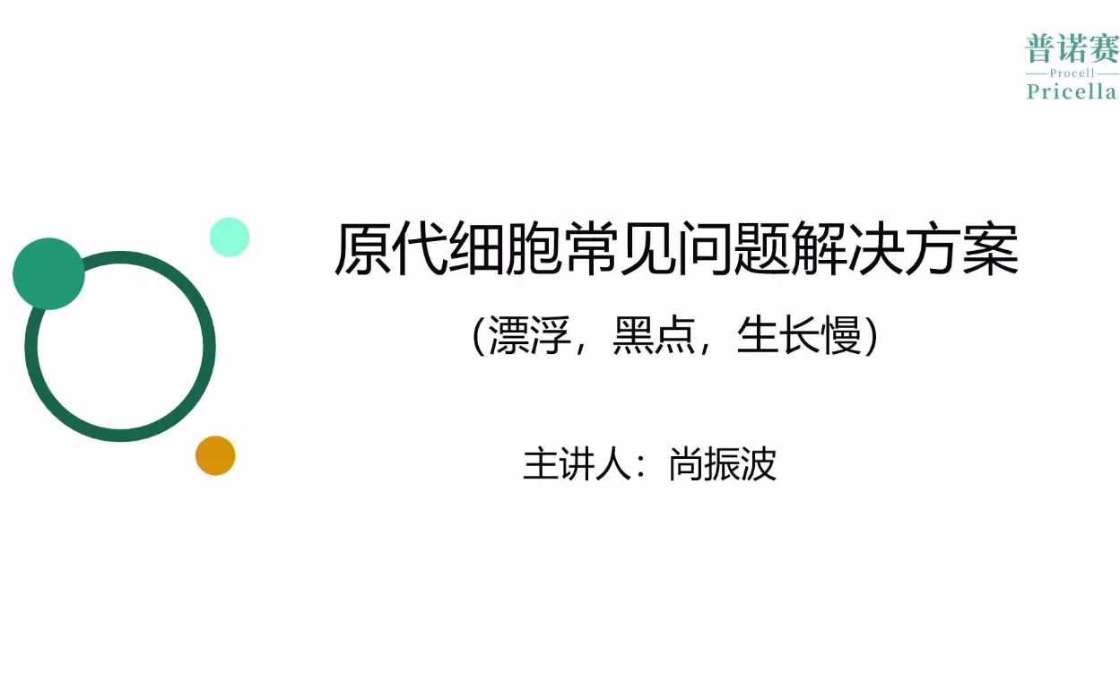 原代細(xì)胞培養(yǎng)常見問題解決方案