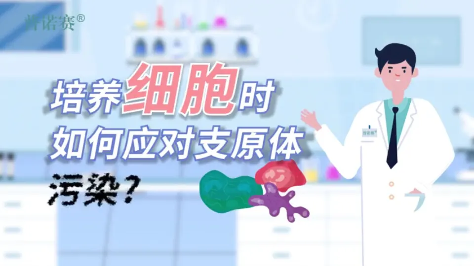 【細(xì)胞培養(yǎng)】如何清除支原體污染