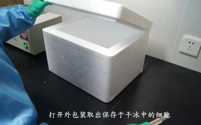 【細(xì)胞培養(yǎng)】凍存細(xì)胞收貨后，細(xì)胞復(fù)蘇實(shí)驗(yàn)操作