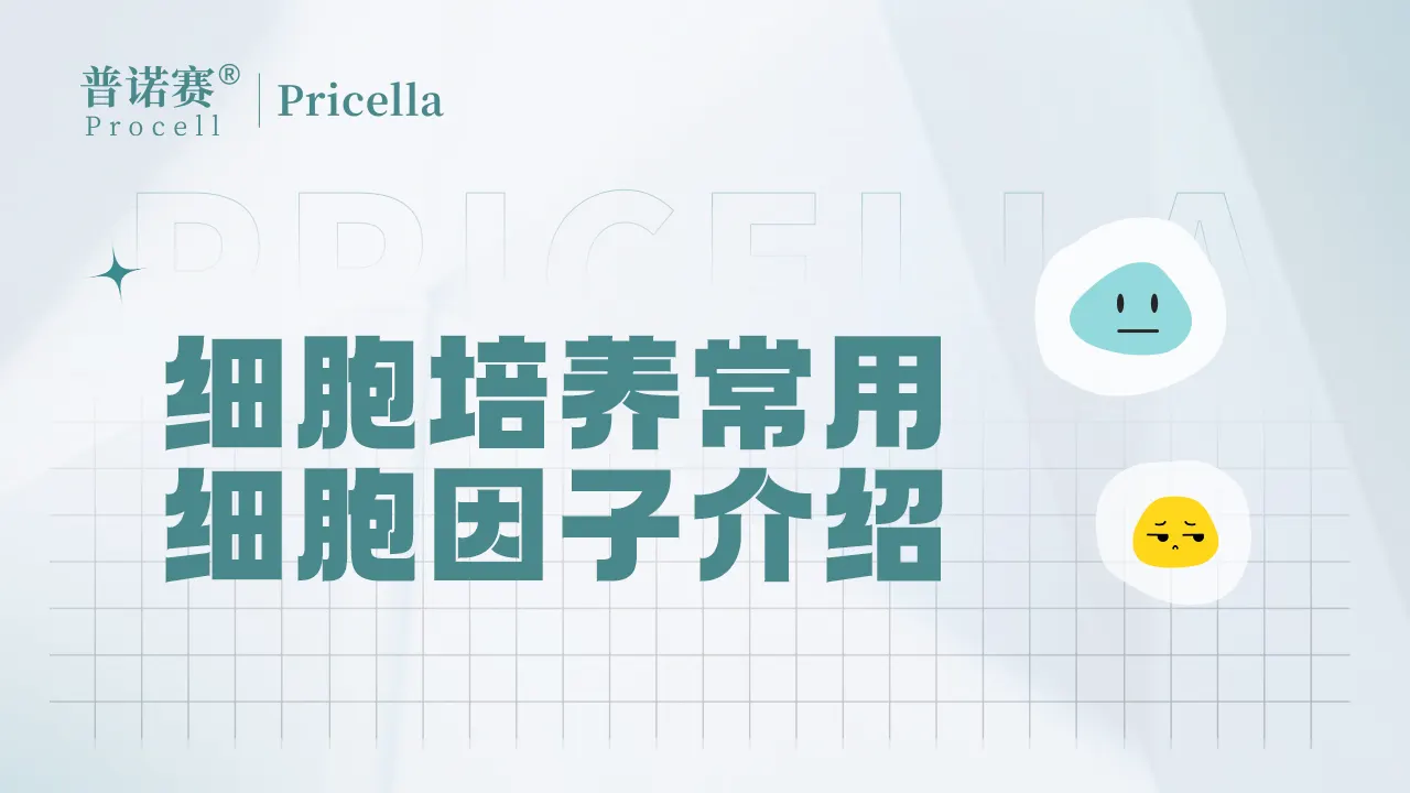 細(xì)胞培養(yǎng)常用細(xì)胞因子介紹