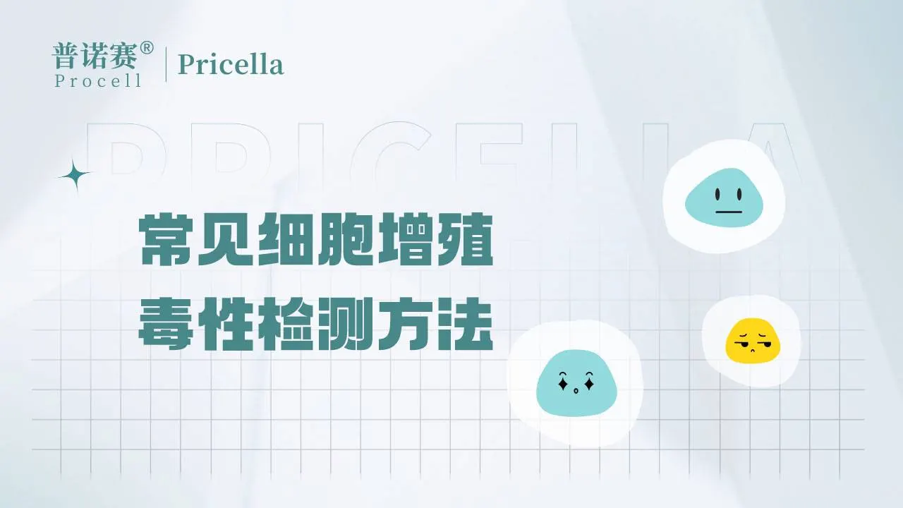 常見細(xì)胞增殖-毒性檢測方法